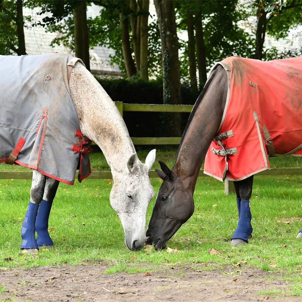 Equilibrium Equi-Chaps Turnout Boots