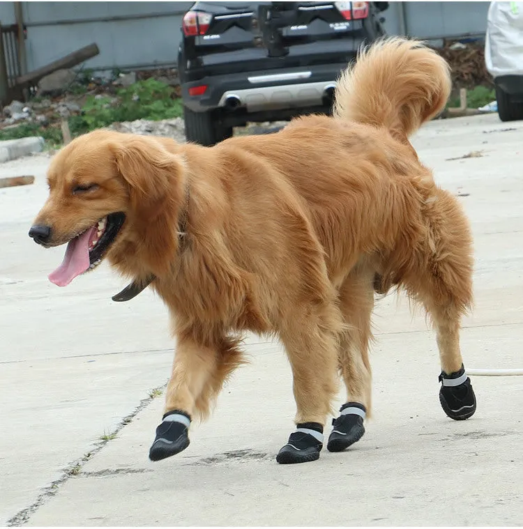 Wear-Resistant Breathable Summer Shoes for Big Dogs